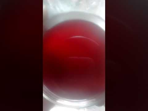 download lagu mp3 mp4 Blood Of Judas Wine, download mp3 Blood Of Judas Wine free download, download mp3 Blood Of Judas Wine