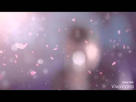 Meda-kurr mos thuaj kurr