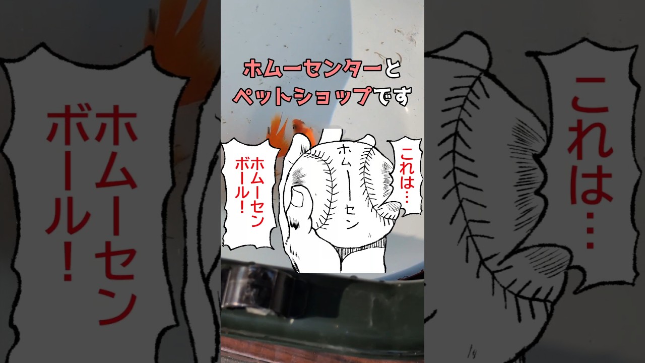 かってしまったのだ！