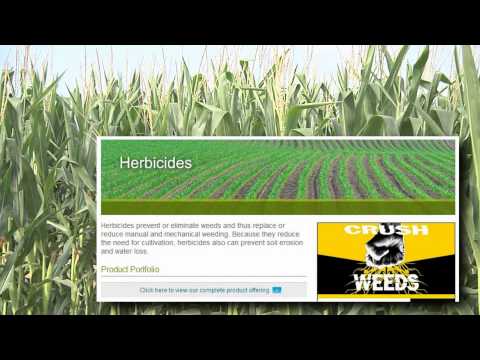 SS&C-Syngenta Crop Protection