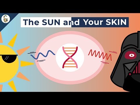 How UV Rays Damage Skin