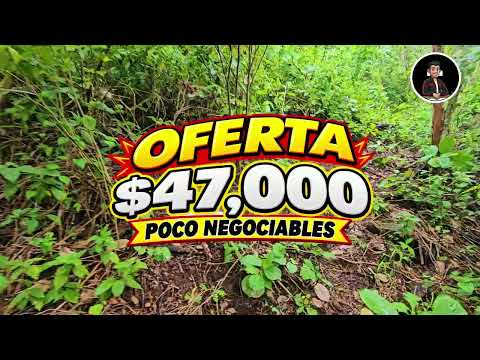 4 MANZANAS EN EL CHAPARRAL, OPORTUNIDAD DE INVERSION EN EL PAISNAL