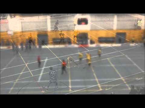 Salibandy: LeBa'96 - Coach Team | 10.02.2012 | Maalikooste