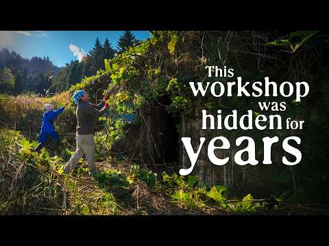 This workshop was hidden under years' worth of weeds. (And we unearthed it.)
