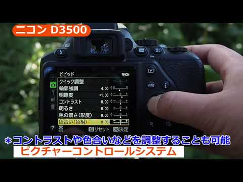 D3500 中古 45,561円 | ネット最安値の価格比較 プライスランク