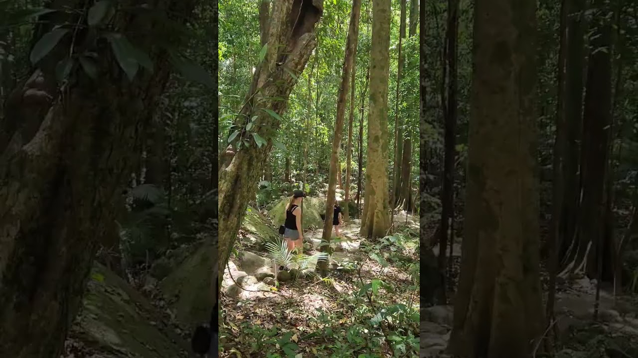 YouTube Short thumbnail