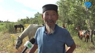 Всадники Дайчин Тенгри (12.07.2019)
