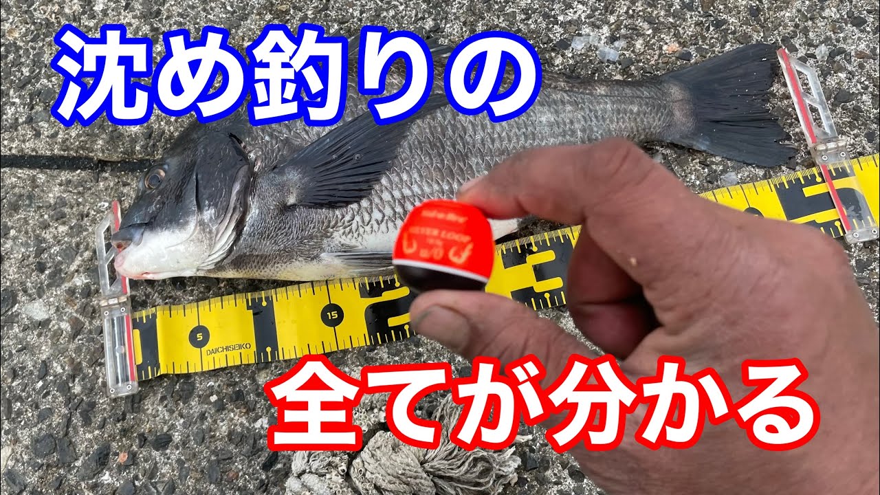 沈め釣り解説動画【実釣編】チヌフカセ釣り