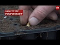 Van Pit tot Pompoensoep