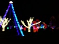 Wildlights At The Zoo