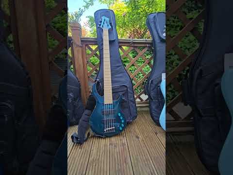 Sire M2 - 5 string bass.