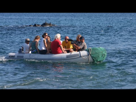 Contraddizioni sociali alle Galapagos | Evoluti per caso, sulle tracce di Darwin