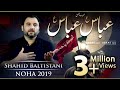 Nohay 2019 Abbas Abbas Shahid Baltistani Noha Hazrat Abbas Muharram 2019 1441