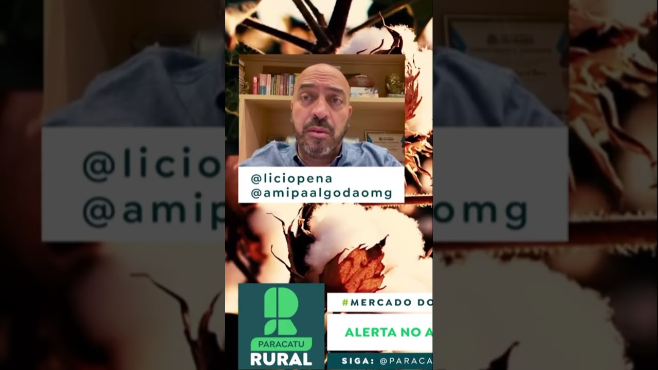 Algodão pode ter oferta derrubada pelo Clima?