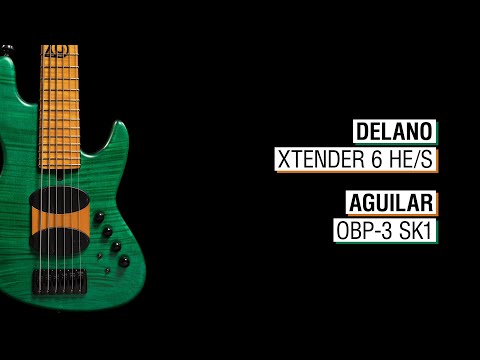 Delano Xtender 6 HE/S + Aguilar OBP-3 SK1 - Elwood L6a-24