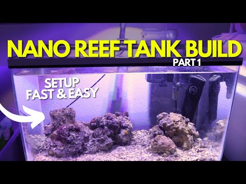How I Setup A 10g Nano Reef Tank With REAL LIVE ROCK! EASY