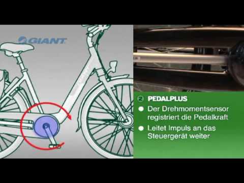 download lagu mp3 mp4 Giant Twist Hybrid, download lagu Giant Twist Hybrid gratis, unduh video klip Giant Twist Hybrid