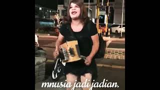 Download lagu Wayahe wik wik mp3