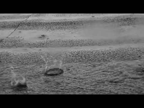 Duo Belcanto Dilettanto - Adam (Offizielles Musikvideo)