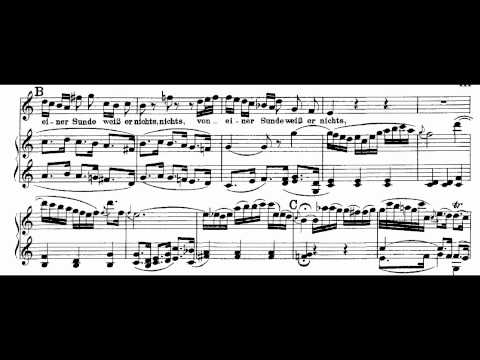 Bach BWV 244-58 Aus Liebe will mein Heiland sterben