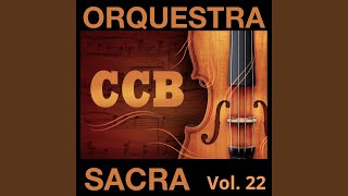 308 - Soa a trombeta