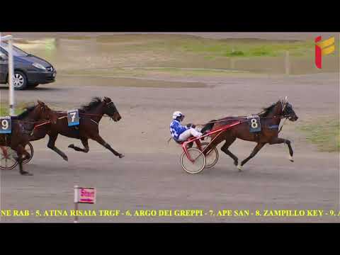 IV Corsa del 11 Dicembre 2021 - 5 e 6 Anni - Metri 2000