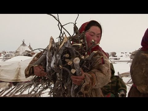 Experiencing Nenet Life On The Frozen Tundra - Tribe With Bruce Parry - BBC