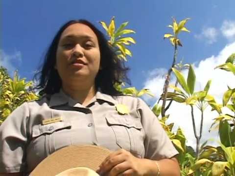 National Park of American Samoa in 62 Seconds