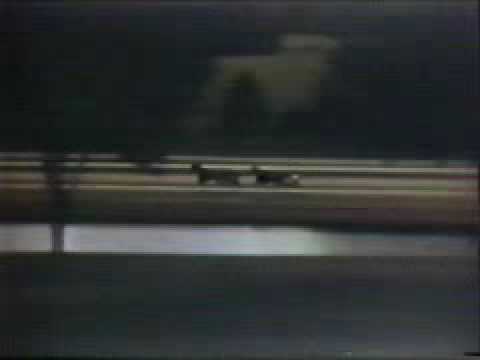 1957 Hambletonian - Hickory Smoke