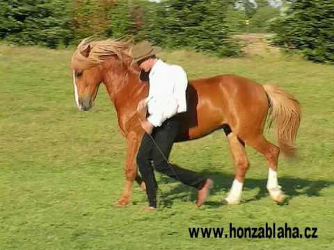 Honza Bláha a Gaston