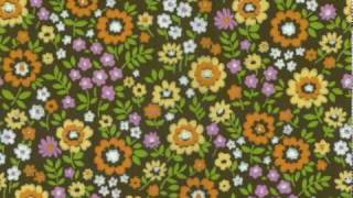 twist and shout - the mamas and the papas