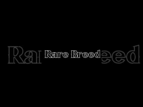 Video 14