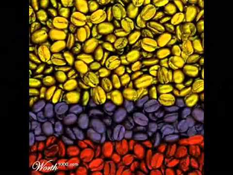 Manicomio de Vargas Vil   De donde venimos 1