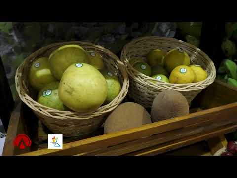 Artemisa en la Feria Internacional de La Habana.