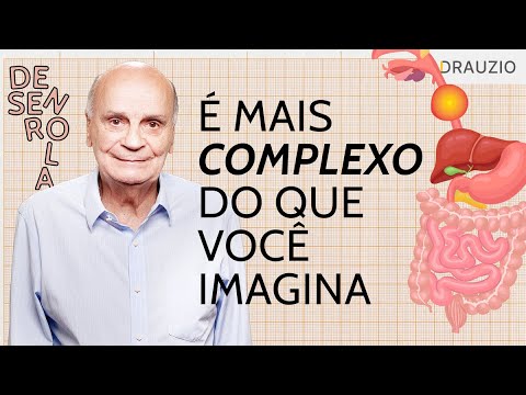 How does the digestive process work?