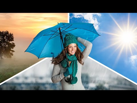 Wetter heute: Nebel, Sonne, Regen und kühl (05.10.2023)