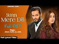 Sunn Mere Dil OST Yeh Jo Mera Ishq Hai Full Song Wahaj Ali Maya Ali New Drama OST