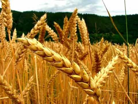 download lagu mp3 mp4 Esperanza En Frances, download lagu Esperanza En Frances gratis, unduh video klip Esperanza En Frances