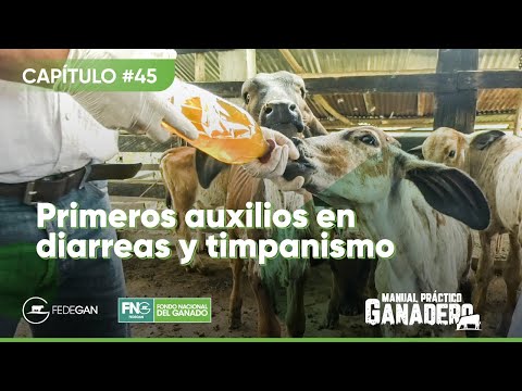 , title : 'Cap 45 - Timpanismo y Diarreas primeros auxilios #manualpracticoganadero #profesionalganaderoamigo'