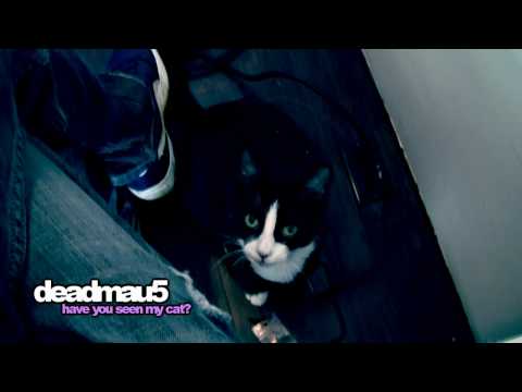 Have You Seen My Cat - Deadmau5