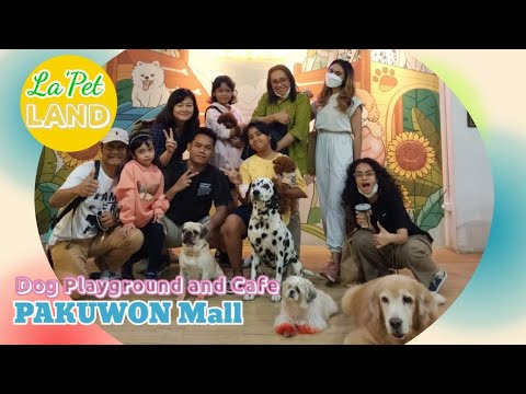 PAKUWON Mall Surabaya - Dog Playground and Cafe 04.01.2023 I Liburan Natal Thn Baru Talakua Family