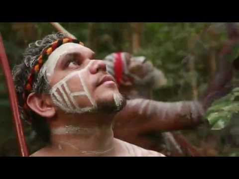 Morning Star Promo Project