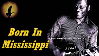 Joe Louis Walker - Born In Mississippi (Kostas A~171)