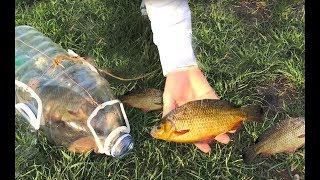 Как сплести морду для ловли рыб