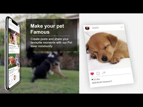 Dog Breed Identifier Photo Cam video thumbnail