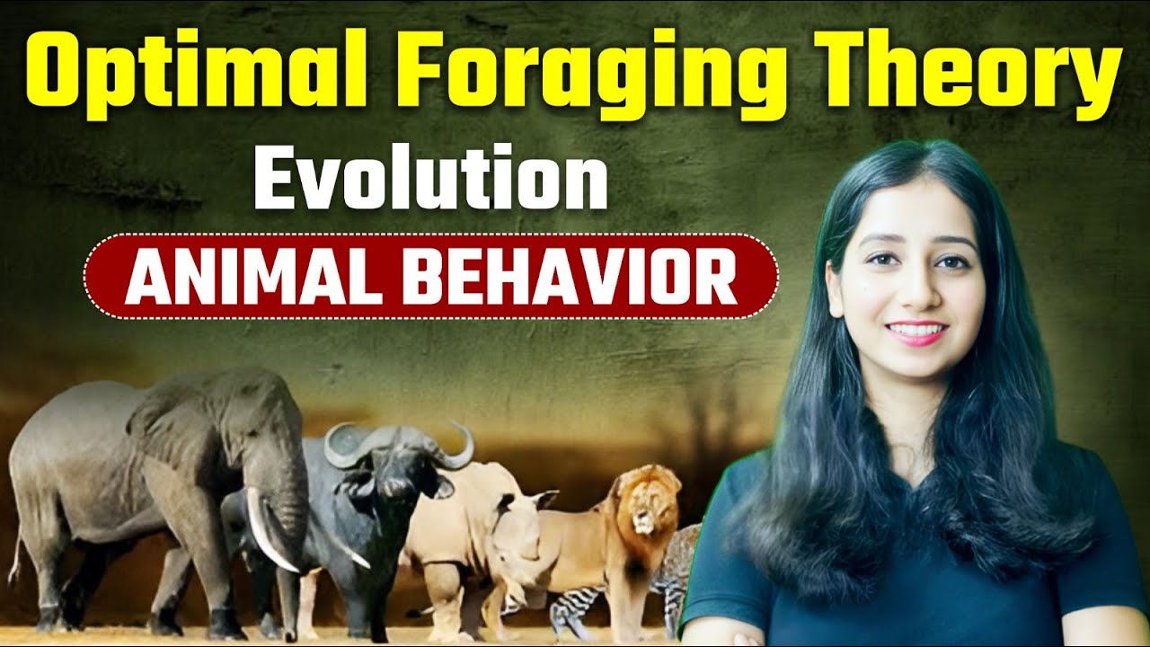 Optimal Foraging Theory I Animal Behaviour - Evolution I Bansal Biology