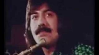 Tie a yellow ribbon 'round ol' Oak tree - Tony Orlando