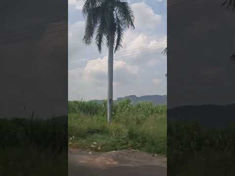 Autopista Palin Escuintla