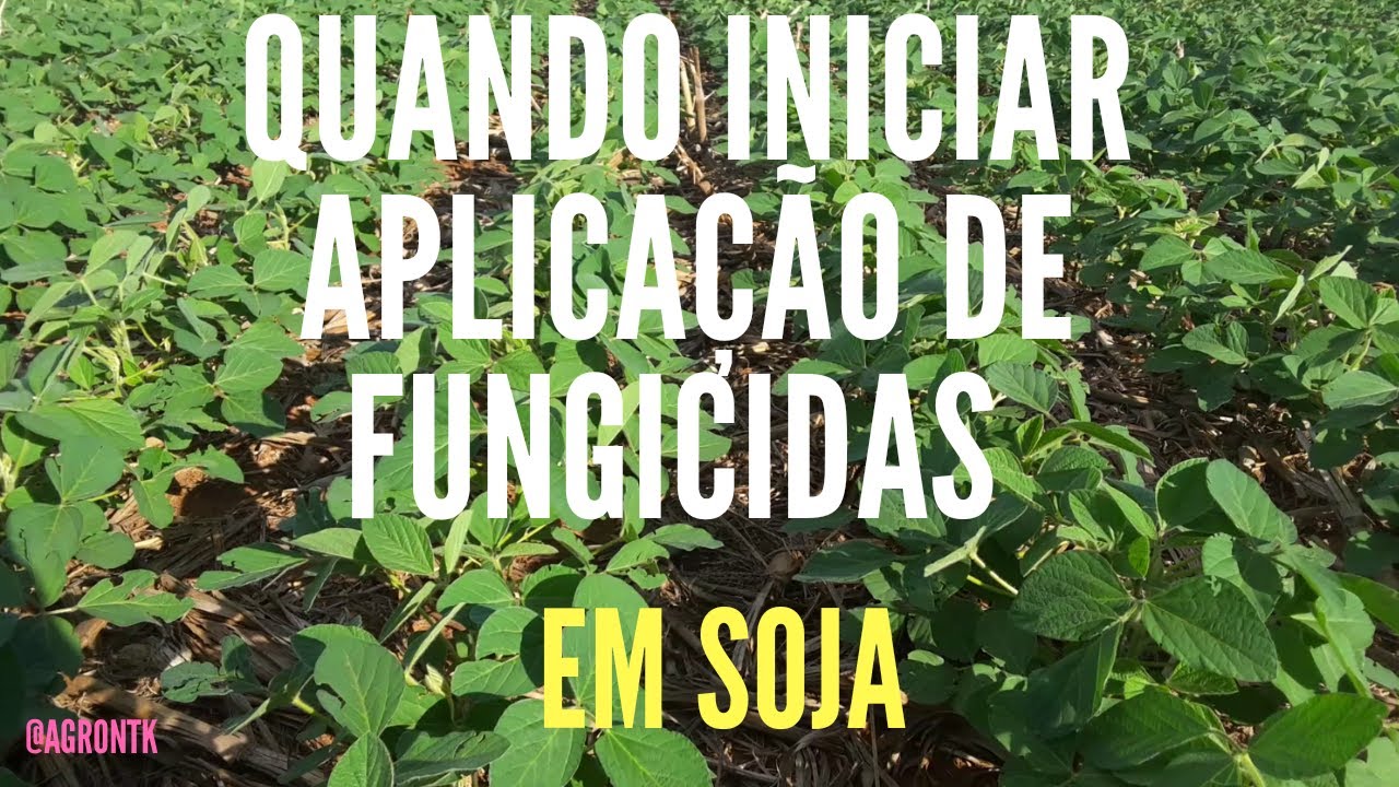 QUANDO INICIAR APLICAÇÃO DE FUNGICIDAS NA SOJA