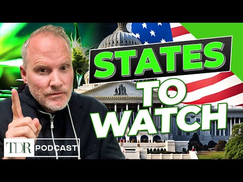 Which States Are Most Likely to Legalize Cannabis in 2026? | TDR Cannabis in 5